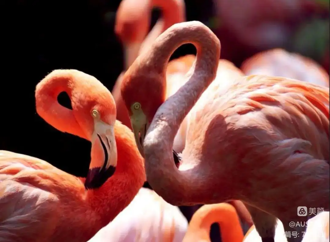 1702190898606138.jpg 640 (1).jpg