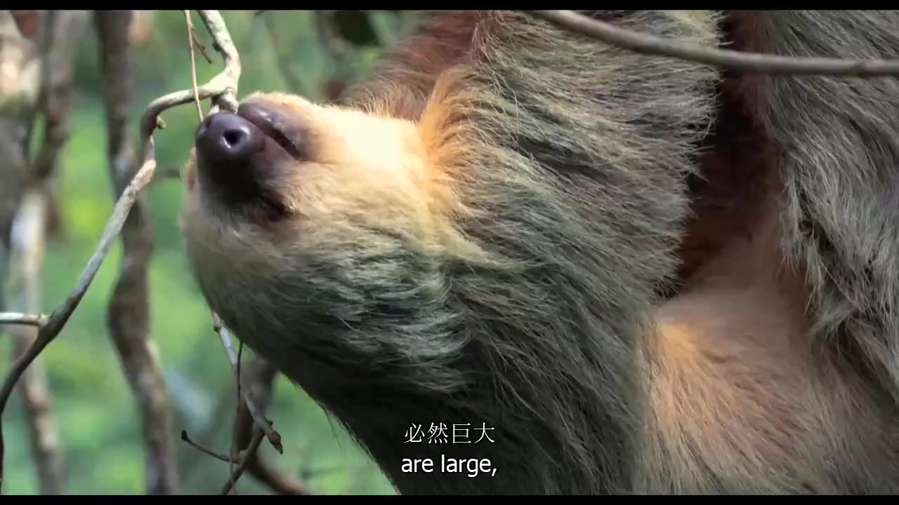 1702190947511082.jpg 640 (1).jpg