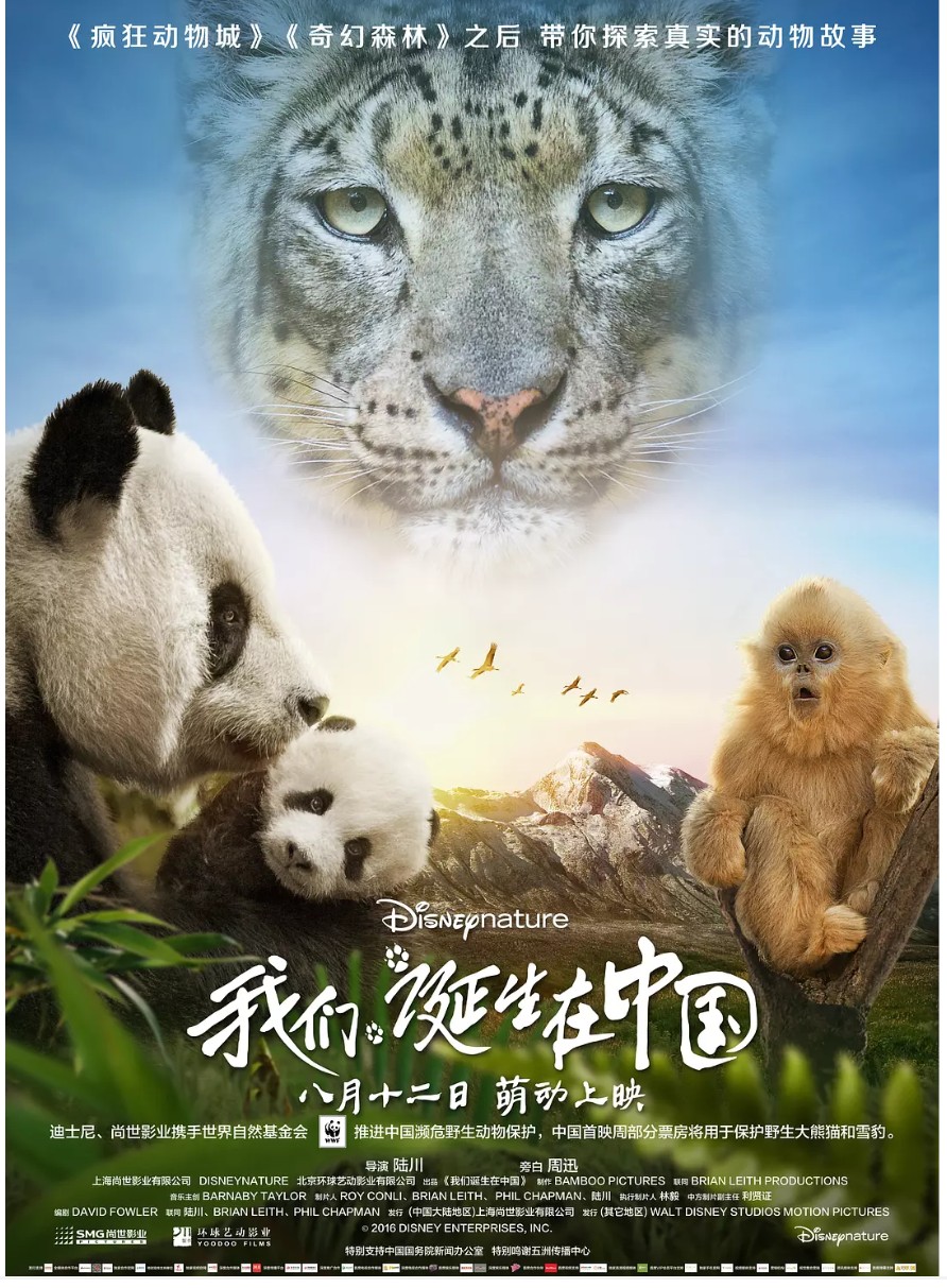 1702190985548321.jpg 640 (1).jpg