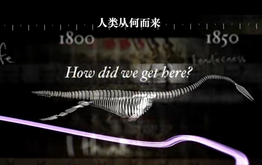 1701436937951362.png 1701436927320.png