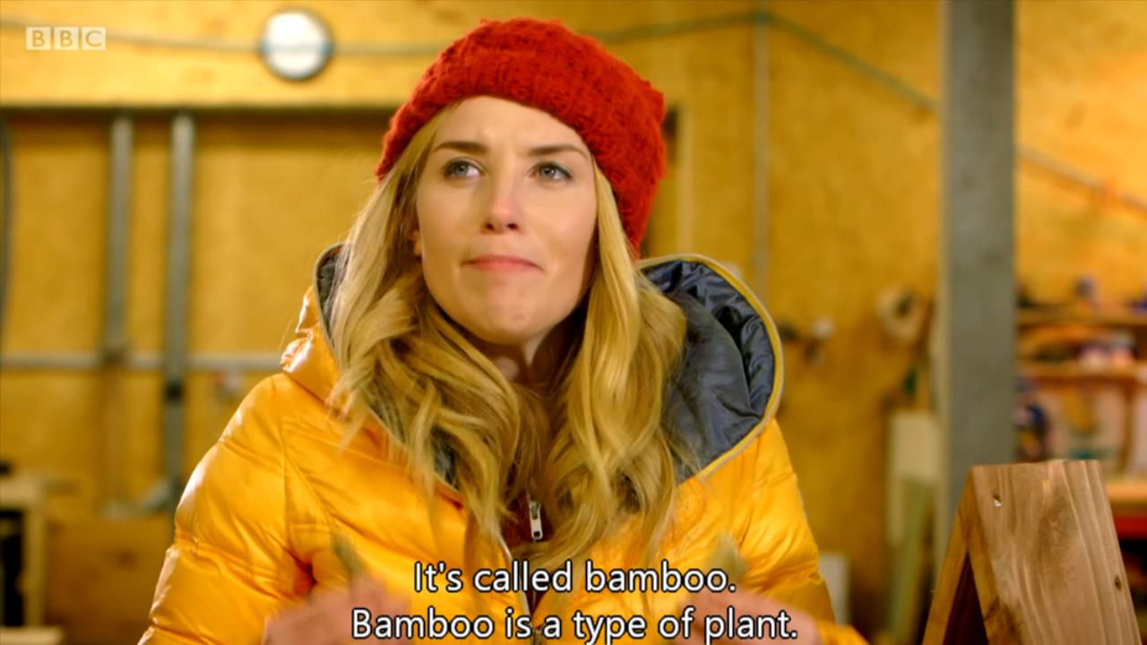 1728698458420966.jpg Maddies_Do_You_Know_Series_1_-_01._Hamster_Wheel_and_Insect_Hotel_b07tzqky_original.mp4_20241012_093045293.jpg