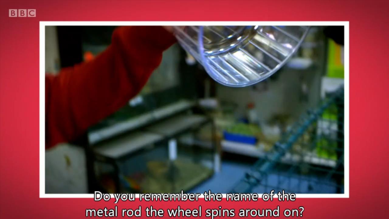 1728698481247616.jpg Maddies_Do_You_Know_Series_1_-_01._Hamster_Wheel_and_Insect_Hotel_b07tzqky_original.mp4_20241012_093042164.jpg