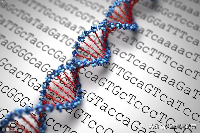 为什么不会读书的孩子读书很累?而会读书的孩子读书很轻松? 为什么不会读书的孩子读书很累?而会读书的孩子读书很轻松?