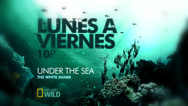 1667968121294605.jpg BBC_1.jpg