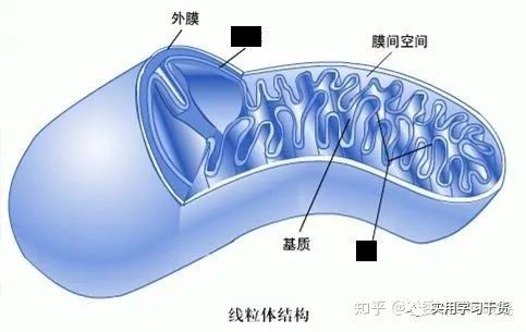 1699401609592070.jpeg 1.jpeg