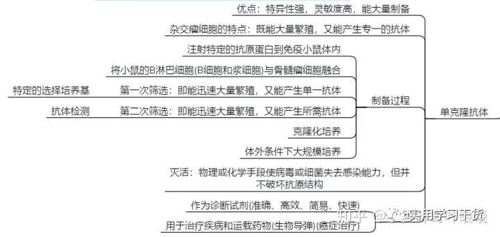 1699401629691047.jpeg 2.jpeg