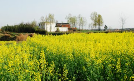 1703776678581776.png 1703776610279.png