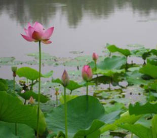 1704291302273552.png 1704291302273552.png