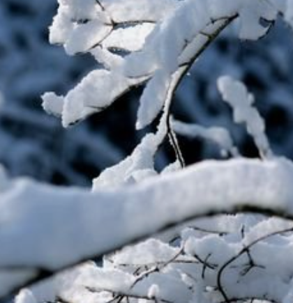 1704278687340445.png d38c98f0b8a1fdd30a5b46da707b627.png