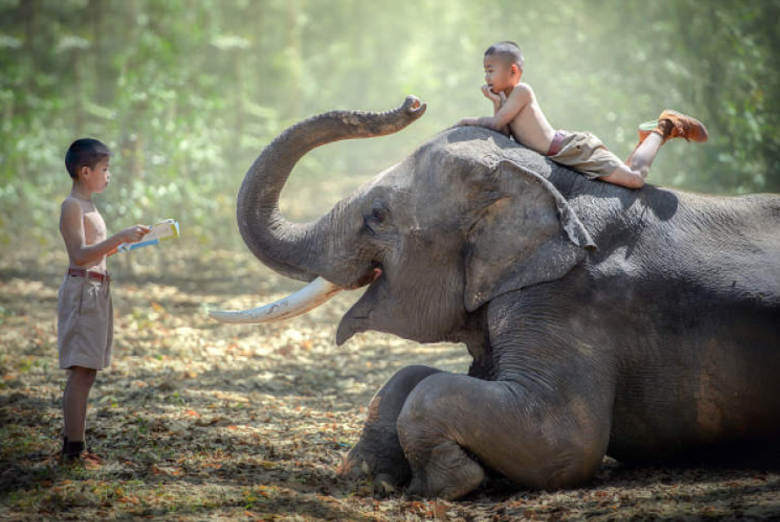 1704519929348506.png 3.png