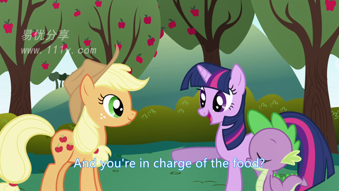 图片[3]-《小马宝莉第一季~第八季全195集》英文版 1080P超清MKV视频 百度云网盘下载-易优分享