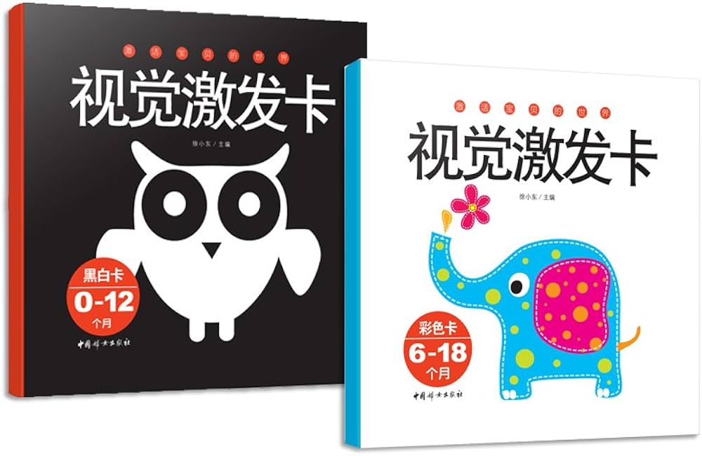 Amazon.com: 宝宝视觉激发黑白彩色卡（套装全4盒）: 9787549246878: ［中］小脚鸭: Books