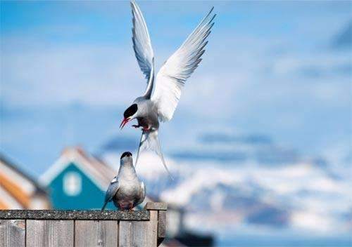 1713233259502862.jpg 001.jpg