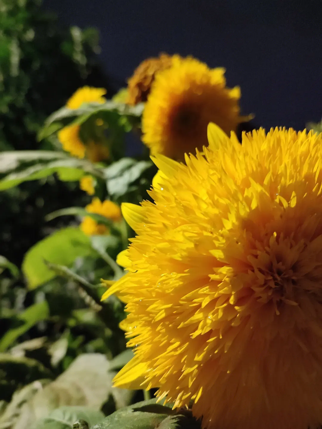 1713232523933142.jpg 001.jpg