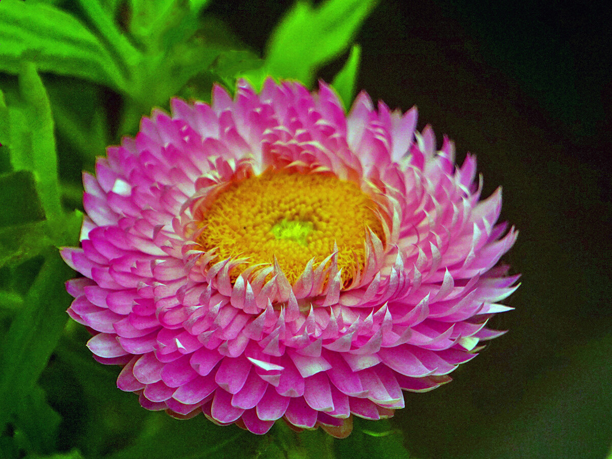 1713232550810737.jpg 001.jpg