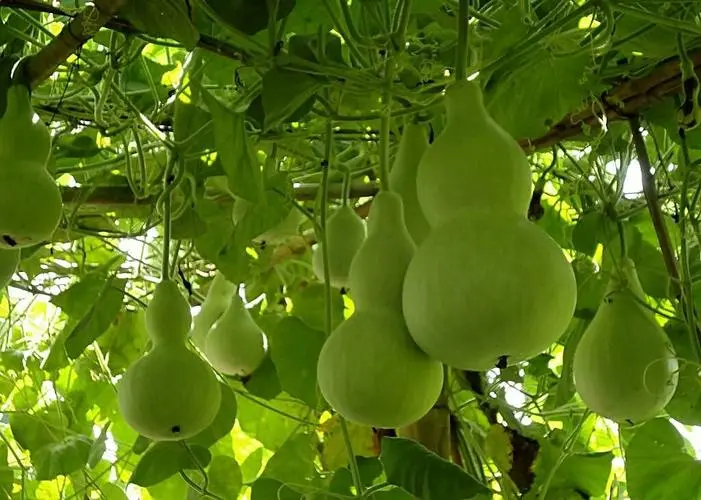 1713232586688025.jpg 001.jpg