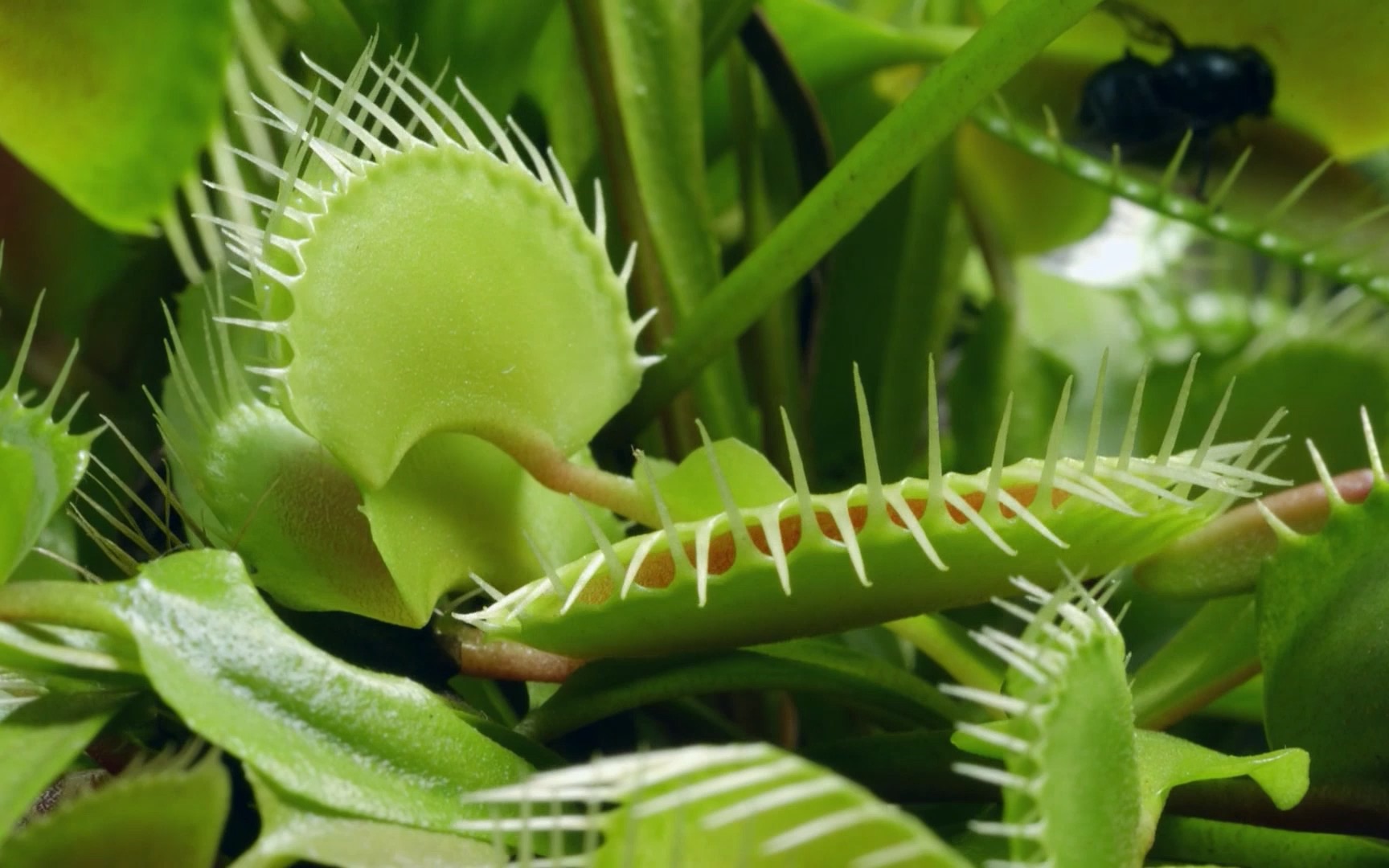 1713232613472594.jpg 001.jpg