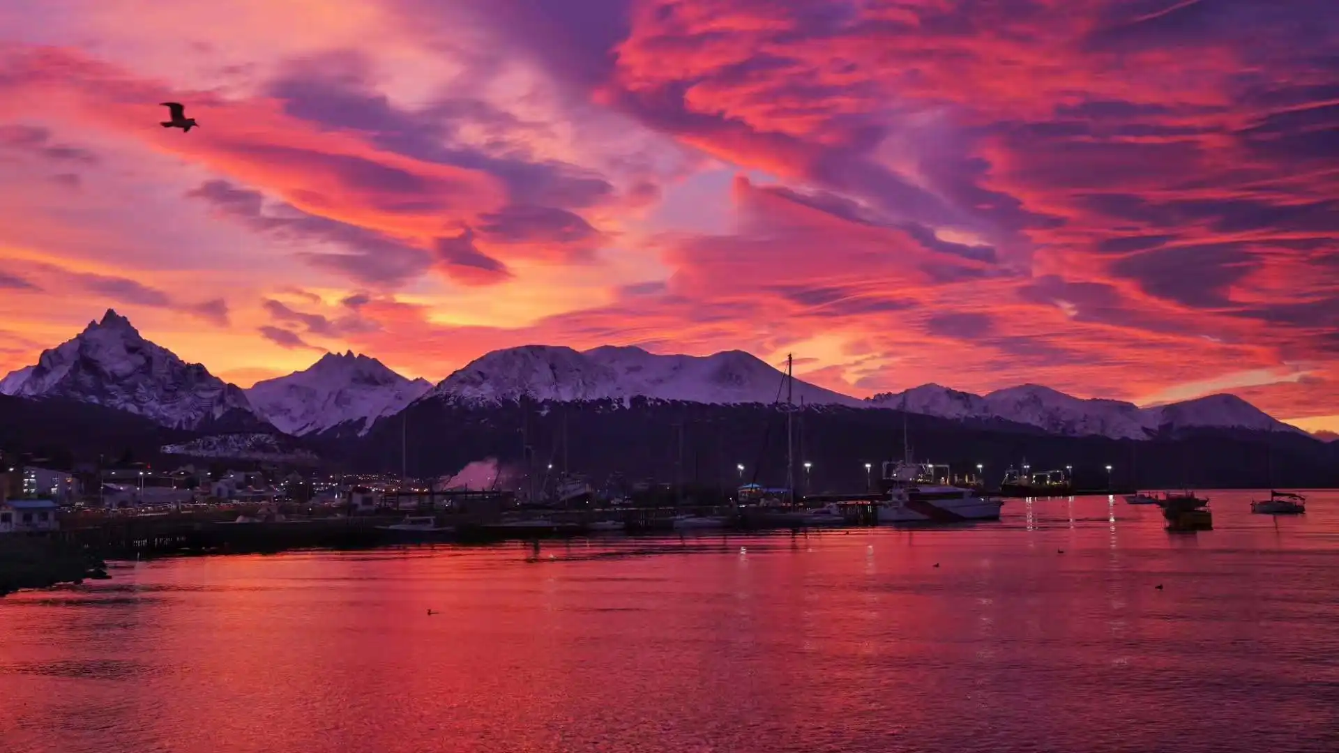 1713232300580310.jpg 001.jpg