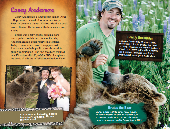 1719544829291846.png T11.png