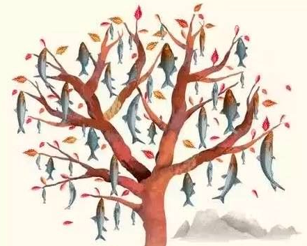 会长鱼的树.png 会长鱼的树4.png