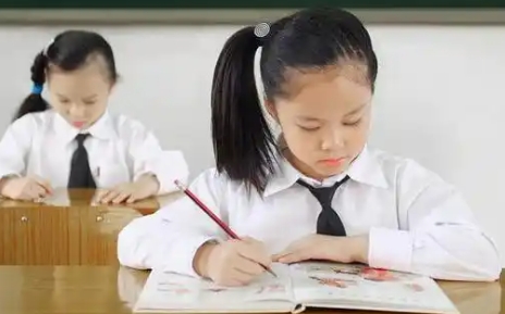 1732865219198063.png 222.png