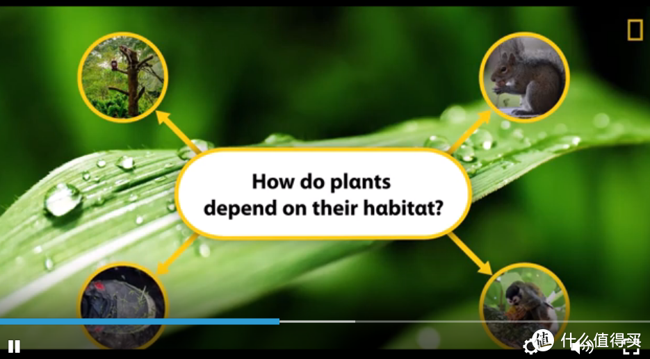 10个超棒早教英语启蒙网站~0基础入门~爸妈省心孩子学得快~