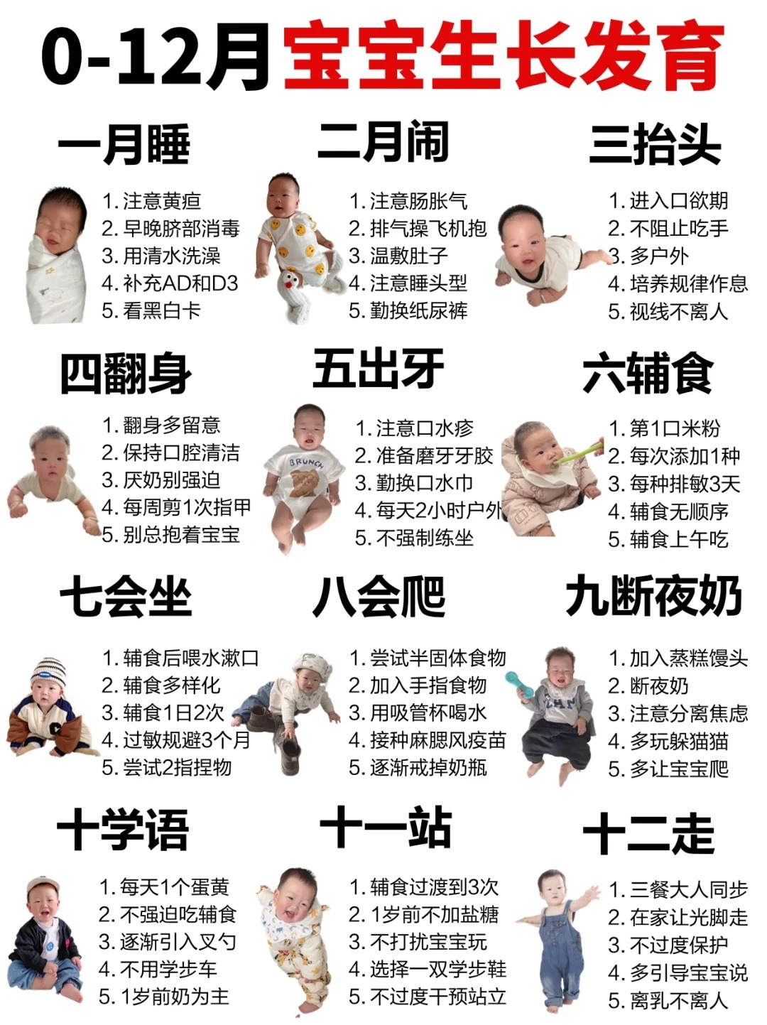 1736336010913447.jpg 0-12月新生儿生长发育进程+早教.jpg