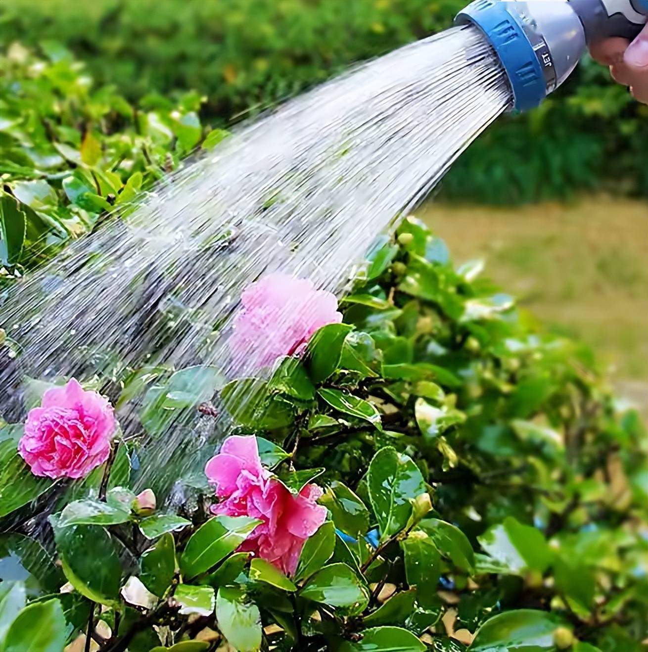 1736957967393684.jpeg 5fbd6751e13a4657bd2d6eb235a99db5.jpeg