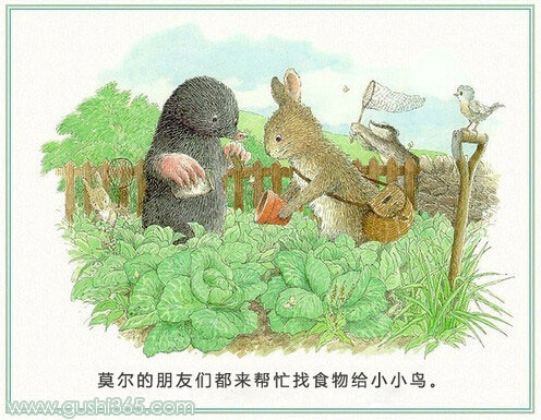 鼹鼠和小鸟