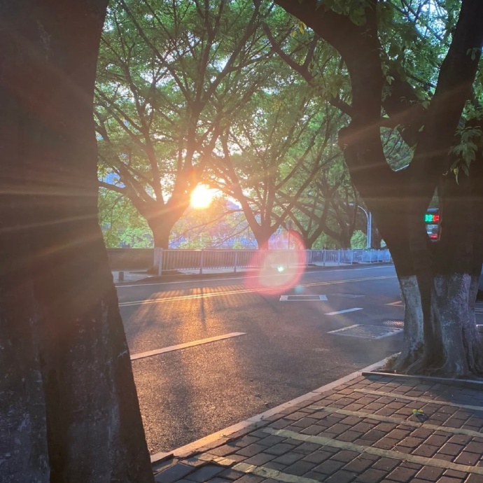 1751798282879840.jpg 005Qblgkly1hg4q4s1tzvj30v90v97eg.jpg