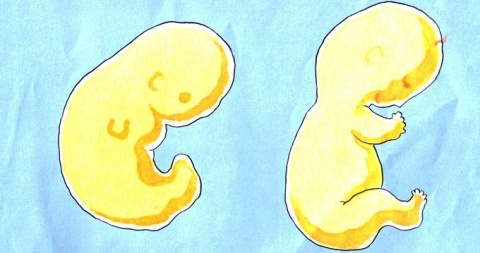 1758039262595931.jpeg 8.jpeg