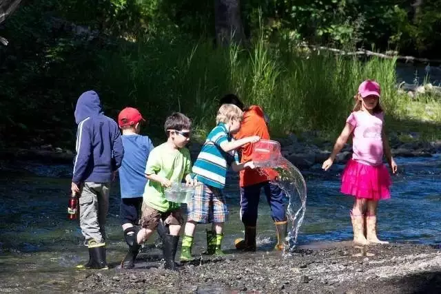 1757952336508562.jpg 1.jpg