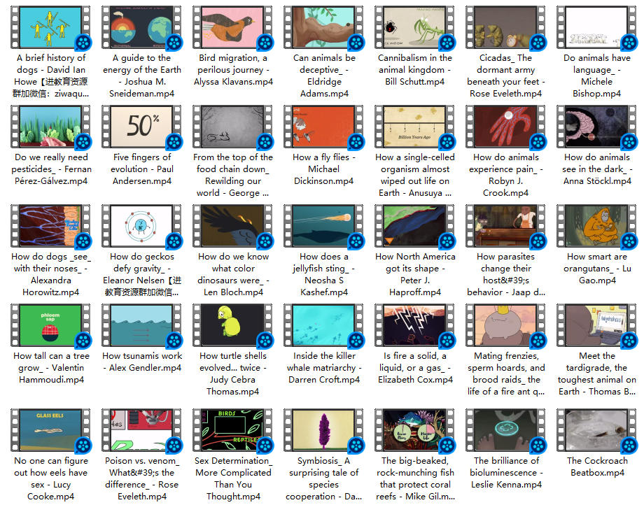 全球顶级科普动画！TED-Ed《Awesome Nature》128集全收录：喂饱孩子的好奇心，就看这个！外挂中英字幕