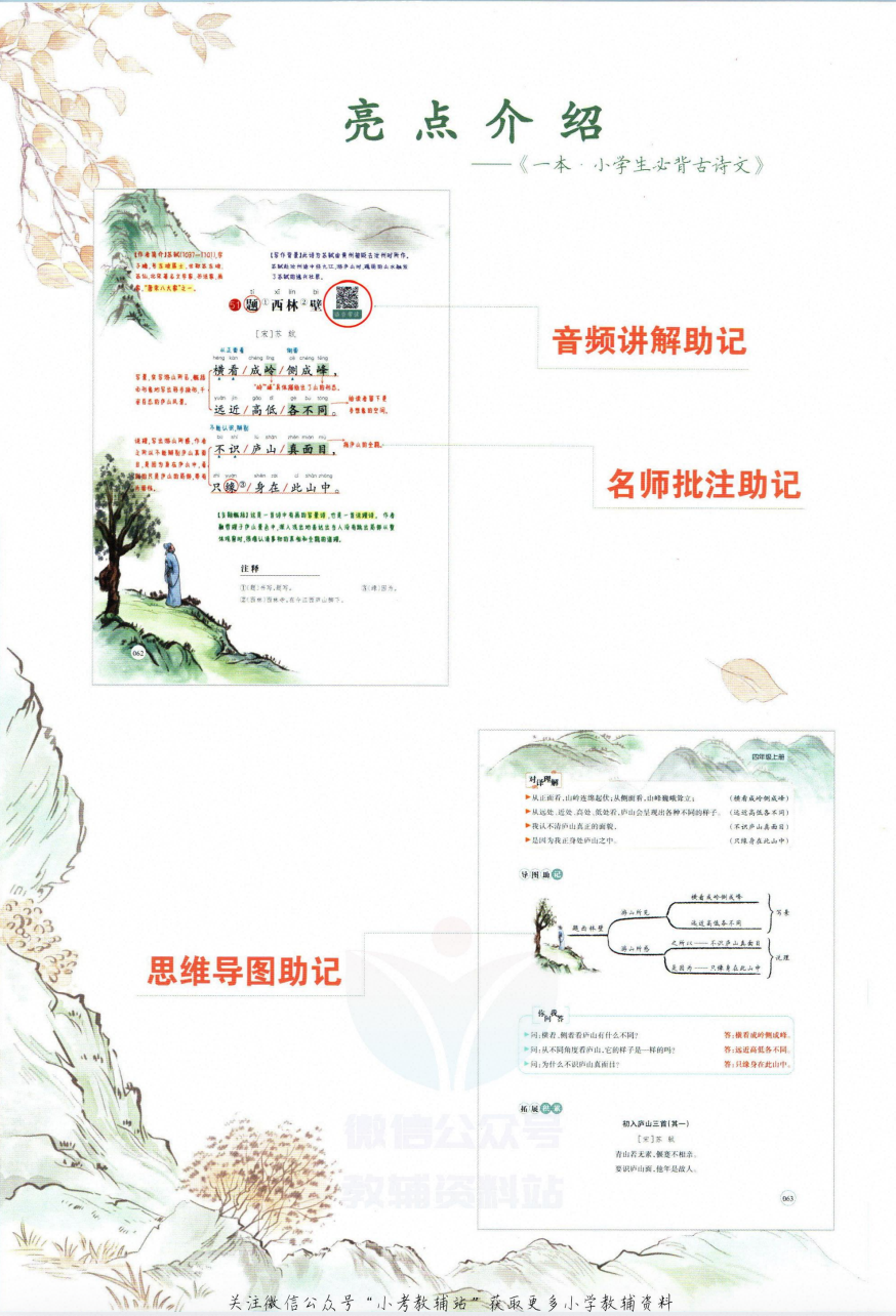 爱儿本