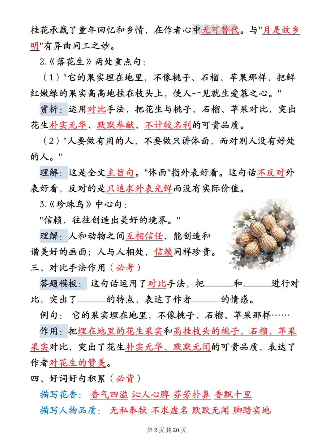 爱儿本